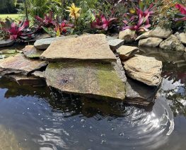 213a5ef890d663ea45a1e115f210cc1036af723b