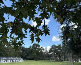 c15bd734d590ed546770263307bef0fc7c925a32